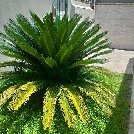 Willa Casa Agradavel Em Camboriu Com Estacionamento No Patio Zewnętrze zdjęcie