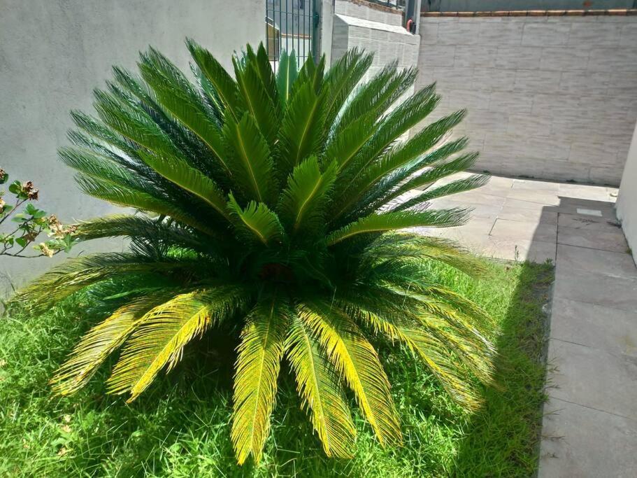 Willa Casa Agradavel Em Camboriu Com Estacionamento No Patio Zewnętrze zdjęcie